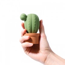 마페토 선인장